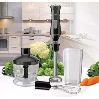 Panardintuvas Maestro MR-566, 500 W, 2 greičiai, turbo, plaktuvas, smulkintuvas 600 ml, laikymo indas 900 ml, nerūdijantis plienas