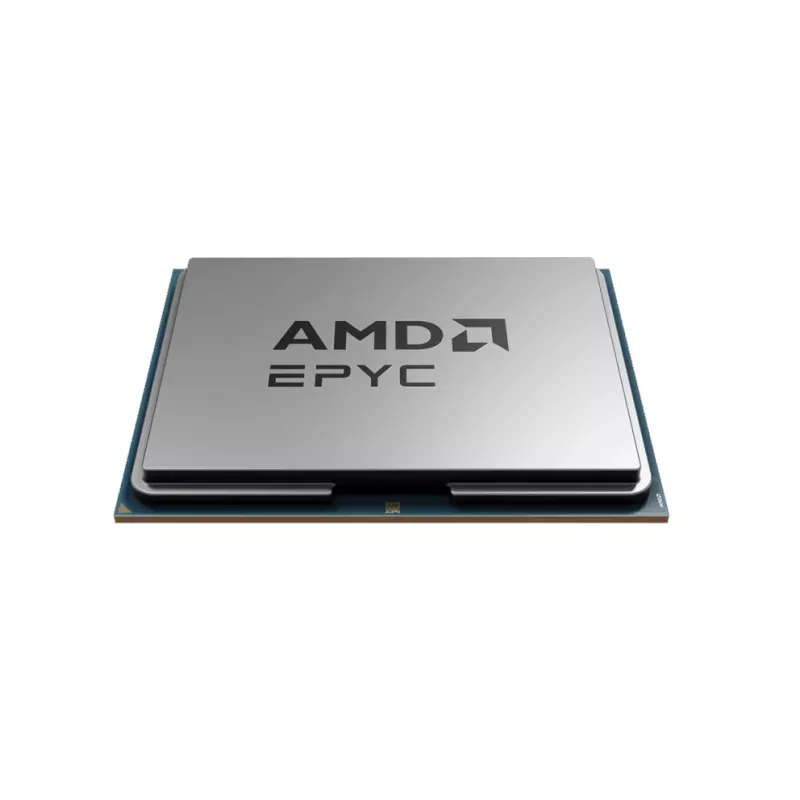 Procesorius AMD EPYC 8324PN 2.05 GHz 128 MB L3 lizdas SP6