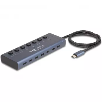 DeLOCK 63410 USB 3.2 Gen 1 Type-C USB centras 5000 Mbit/s mėlynas