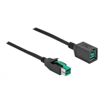 Maitinamas USB ilginimo kabelis DeLOCK 85980 12 V 1 m