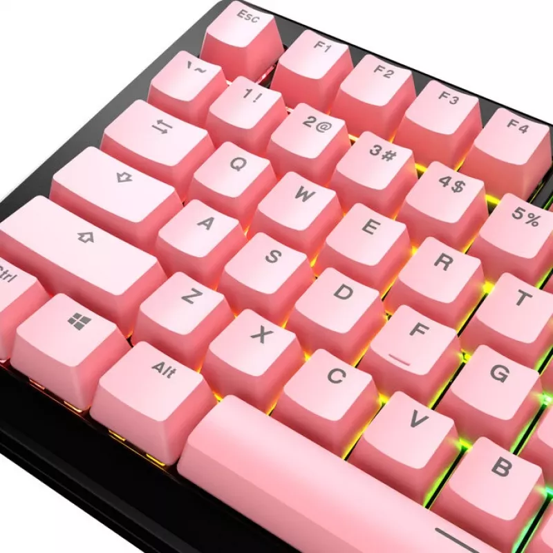 Mechaninės klaviatūros klavišų rinkinys GLORIOUS GPBT Basics ANSI PBT Potion P