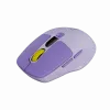 Belaidė pelė CANYON MW-26 LCD Silent Dual Mode Wireless (violetinė)