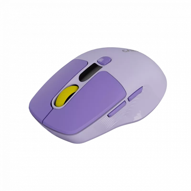 Belaidė pelė CANYON MW-26 LCD Silent Dual Mode Wireless (violetinė)