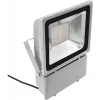 LED prožektorius EUROLITE FL-100 3000K šilta balta šviesa