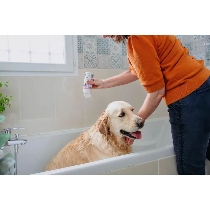 VIRBAC AllerDerm šampūnas jautriai šunų ir kačių odai 250 ml