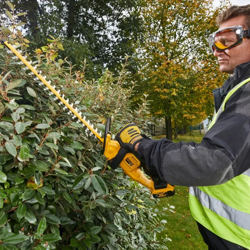 Akumuliatorinis gyvatvorių žirklių komplektas DeWALT DCM563P1-QW