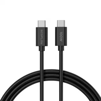 ECOFLOW Įkroviklis 65W