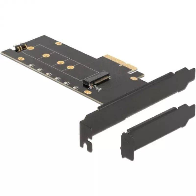 DeLOCK 89013 vidinė M.2 PCIe kortelė su aušintuvu ir LED apšvietimu