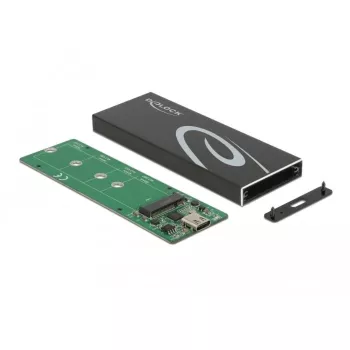 Išorinis SSD korpusas DeLOCK 42003 M.2 SATA SSD su USB Type-C