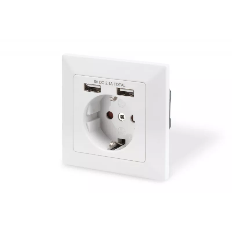 Apsauginis lizdas įmontuojamas Digitus DA-70613 su 2 USB prievadais