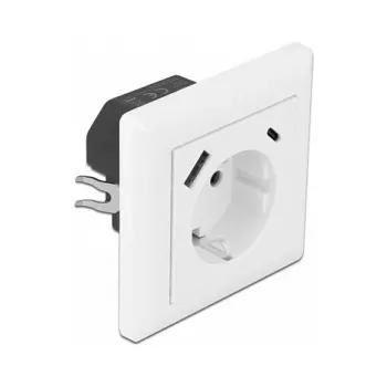DeLOCK 11489 Sieninis lizdas CEE 7/3 + USB balta 250V 16A