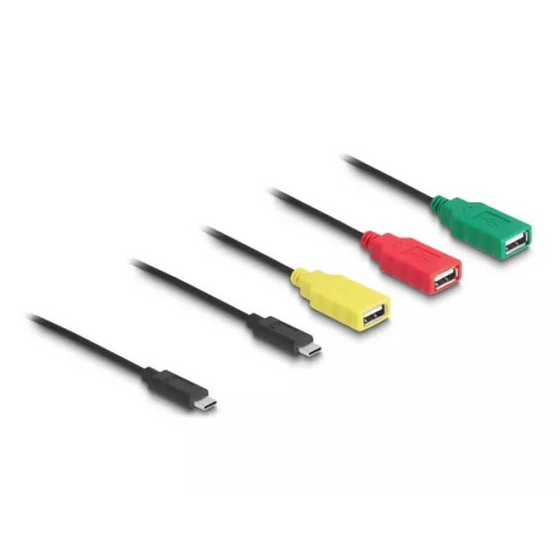 DeLOCK 4 prievadų USB 2.0 kabelinis šakotuvas USB Type-C į 3 x USB-A moteriškas + 1 x USB-C vyriškas