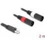 Garso kabelis DeLOCK 88173 2 m RJ-45 – 2 x XLR 3-pin juodas