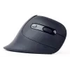 Gembird MUSW-ERGO-03 pelė Home Dešinei rankai RF Belaidė Optinė 1600 DPI