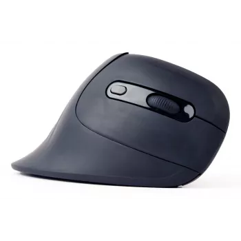 Gembird MUSW-ERGO-03 pelė Home Dešinei rankai RF Belaidė Optinė 1600 DPI