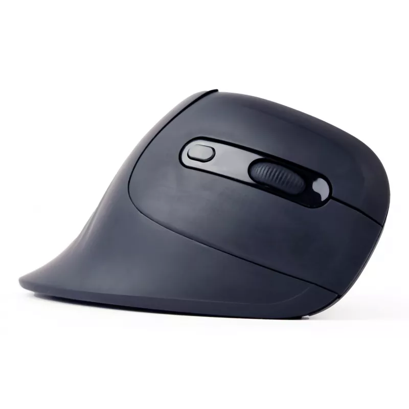 Gembird MUSW-ERGO-03 pelė Home Dešinei rankai RF Belaidė Optinė 1600 DPI