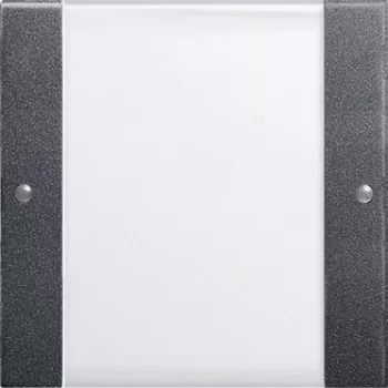 GIRA 213128 Elektrinis jungiklis antracitas - baltas (213128)