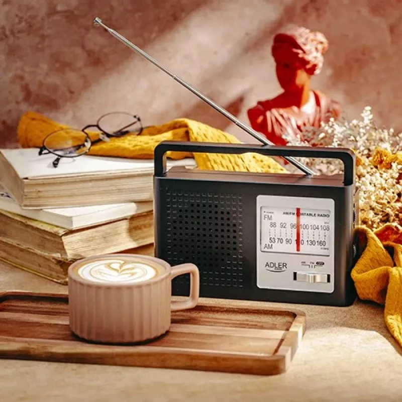 Radijo imtuvas AM/FM Adler AD 1909