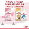 Royal Canin Kitten sausas maistas katėms 2 kg