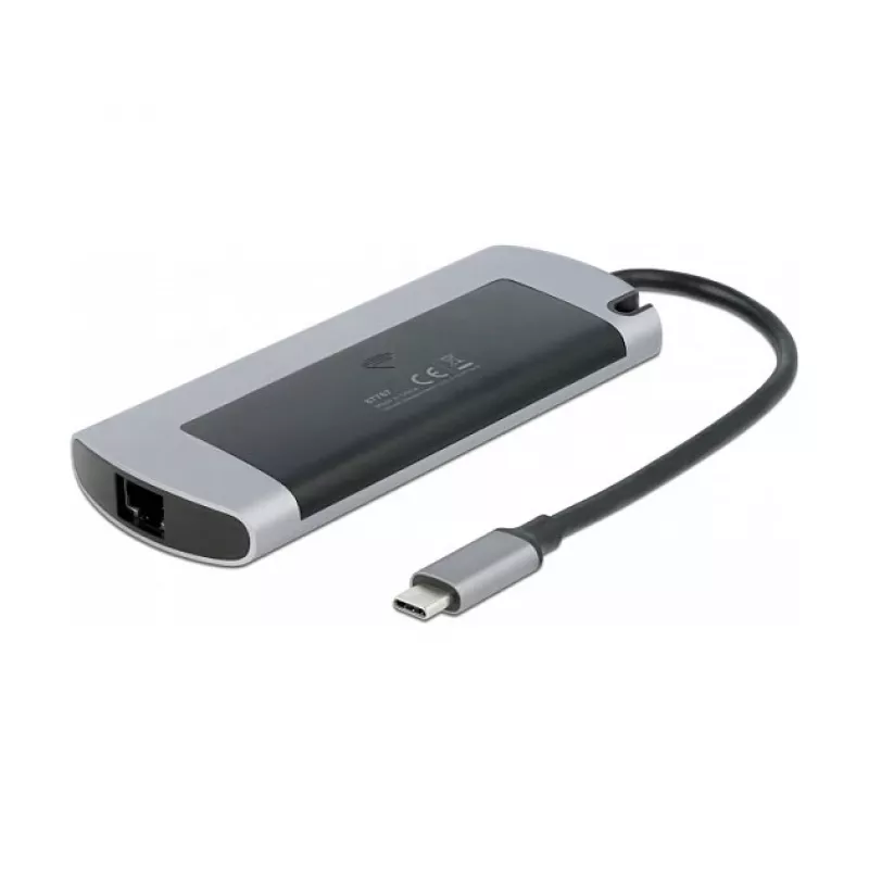 DeLOCK USB Type-C doko stotelė su M.2 lizdu