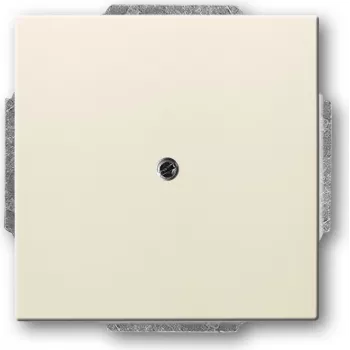 BUSCH JAEGER 1742-82 – Baltas metalinis blizgus jungiklio rėmelis 63x63 mm
