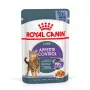 ROYAL CANIN FCN Appetite Control drebučiuose – šlapias ėdalas suaugusioms katėms – 12x85g
