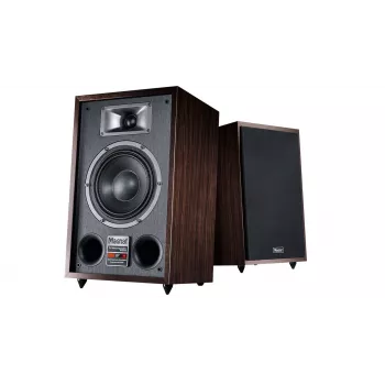 Grindinė kolonėlė Magnat TRANSPULS 800A 2 krypčių laidinė ir belaidė 2×60 W, Bluetooth 5.0, HDMI, juoda/ruda