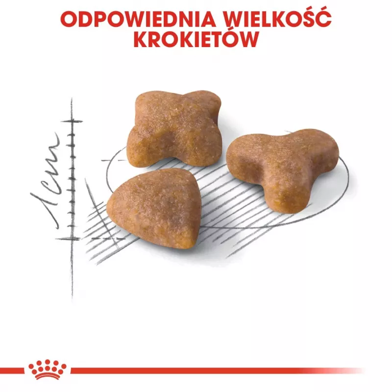 Sausas kačių ėdalas Royal Canin Sensible 33 suaugusioms katėms, 10 kg – vištiena, 33% baltymų, šlapimo takų kontrolė