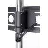 Prie grindų montuojamas stovas STD01 ekranams 32-55'' VESA 75x75/600-400, 80 kg
