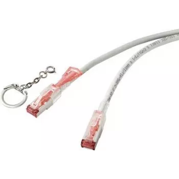 Renkforce RF-4533114 tinklo kabelis pilkas 1 m Cat6a S/FTP (S-STP) (RF-4533114)