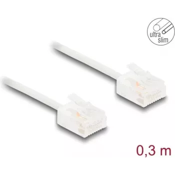 DeLOCK RJ45 Cat.6 UTP tinklo kabelis 0,3 m baltas