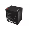 Green Cell AGM45 UPS baterija sandarus švino rūgštinis akumuliatorius (VRLA) 12 V 5,3 Ah
