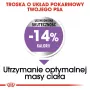 Sausas šunų ėdalas Royal Canin Mini Sterilised Care – 3 kg, vištiena, sterilizuotoms mažų veislių šunims (5–10 kg), suaugusiems, 30% baltymų