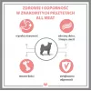 PUPIL Premium All Meat Gold Duck šlapias šunų ėdalas – antis – 800 g