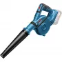 Bosch GBL 18V-120 Professional belaidis lapų pūstuvas