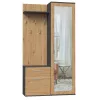 Prieškambario spinta Top e shop GARD DUO ANT/ART KPL — 2 varstomos durys, medžio drožlių plokštė, 1000×350×1800 mm
