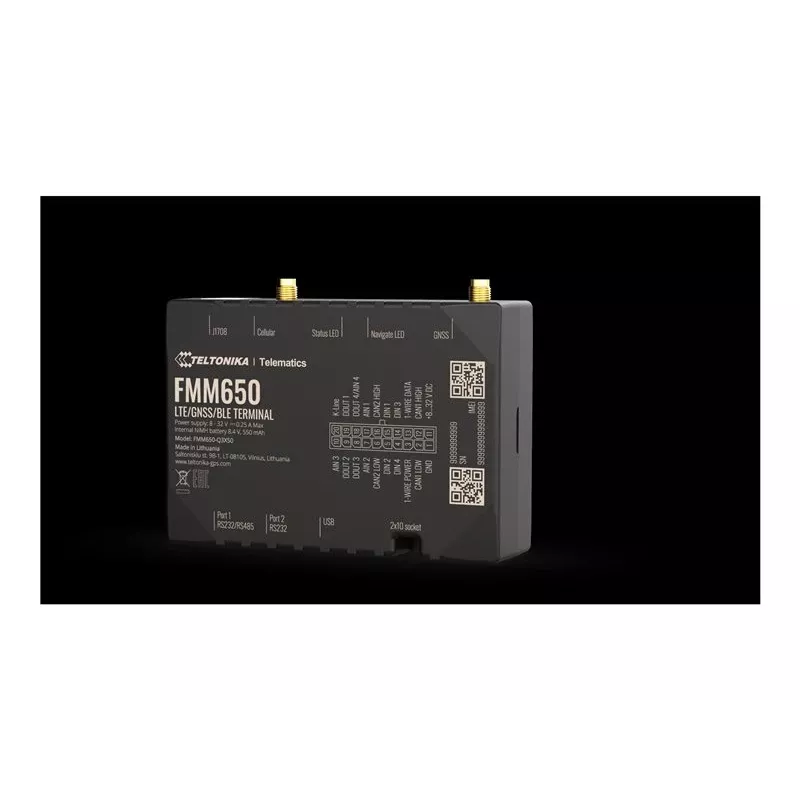 GPS sekimo įrenginys TELTONIKA TELEMATICS FMM650 — 4G ryšys, kompaktiškas dizainas