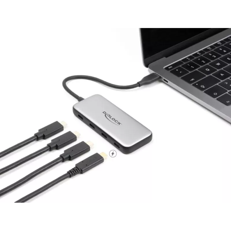 DeLOCK 64261 USB 3.2 Gen 1 Type-C šakotuvas 10000 Mbit/s juoda pilka