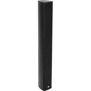 Lauko garsiakalbis Omnitronic ODC-264T 2 krypčių 60W