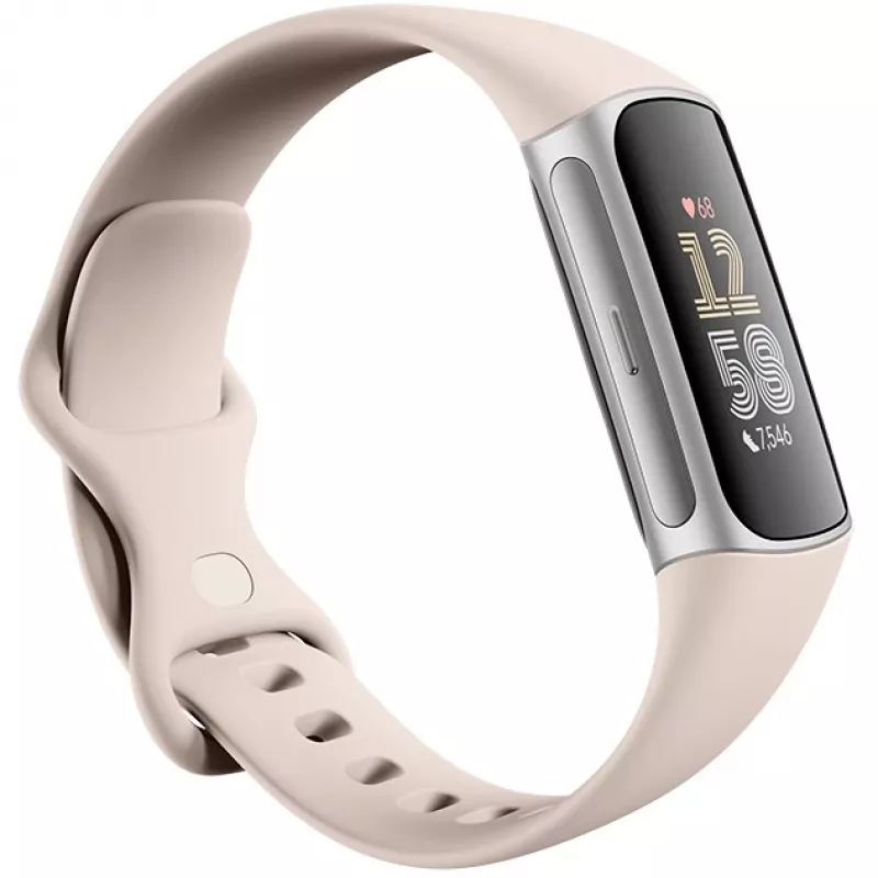 Fitbit GA05185-EU sidabrinė veiklos stebėjimo apyrankė