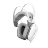 Ausinės White Shark GH-2446 Gottan White