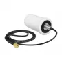 Kryptinė antena DeLOCK 88986