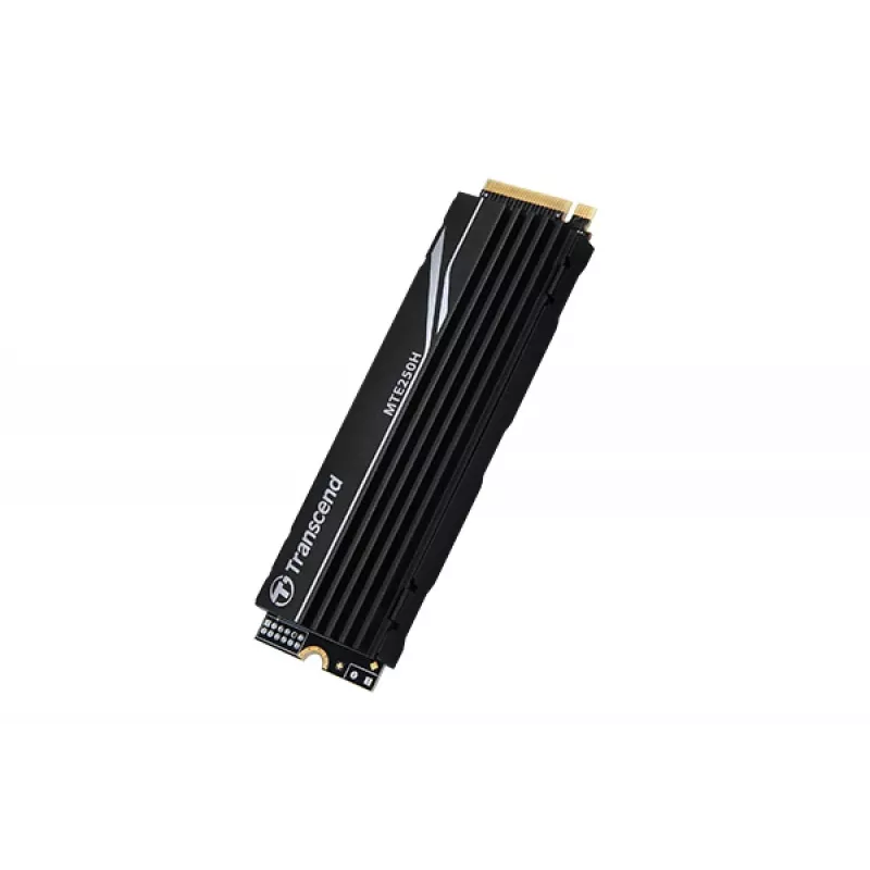 SSD diskas Transcend 2 TB M.2 PCI Express 4.0 NVMe MTE250H