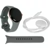 Išmanusis laikrodis Google Pixel Watch AMOLED 41 mm