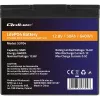 LiFePO4 akumuliatorius QOLTEC 12.8V 50Ah (53704) – atsarginiam maitinimui ir energijos kaupimui