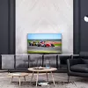 Televizorius Thomson 43QG7C14 43 colių 4K Ultra HD QLED 3840 x 2160