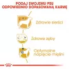 Sausas šunų ėdalas Royal Canin Poodle Adult 1,5 kg — vištiena, 30 % baltymų, 19 % riebalų