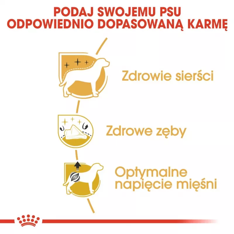 Sausas šunų ėdalas Royal Canin Poodle Adult 1,5 kg — vištiena, 30 % baltymų, 19 % riebalų