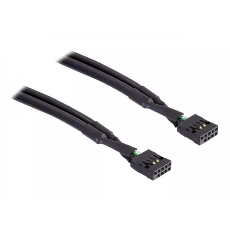 Vidinis USB kabelis DeLOCK 82437 0,5 m 10 kontaktų moteriškas