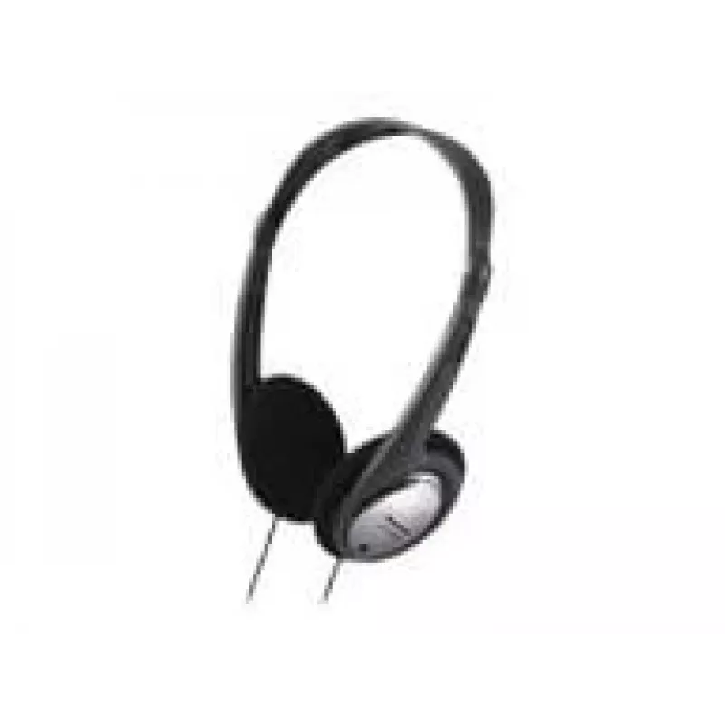 Ausinės Panasonic RP-HT030E-S sidabrinės
